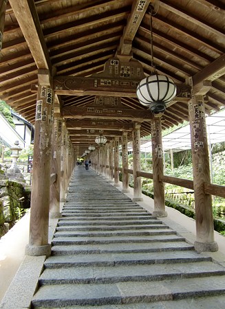 ランチ京都 時々滋賀 奈良 花の寺 長谷寺のあじさい