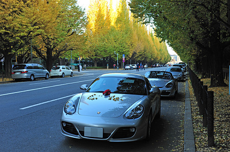 早朝撮影会＠外苑 2010/11-9