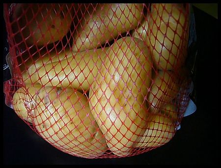 P2420582