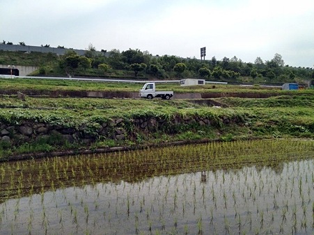 画像 135
