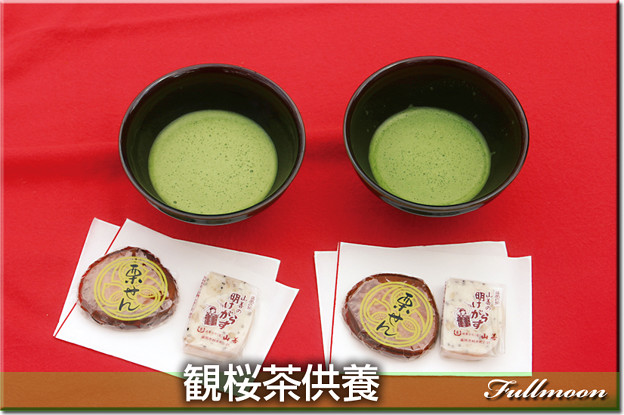20観桜茶供養