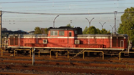 DSCN3594