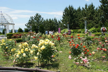 DSC06123