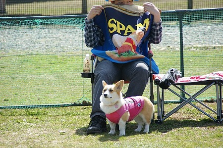 DSC07139