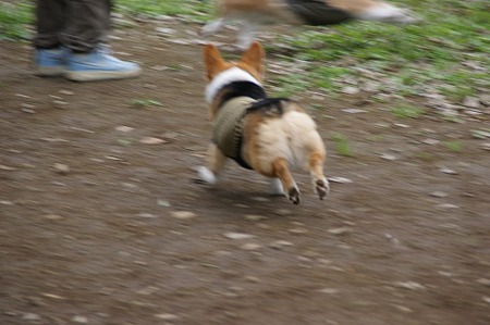 DSC09169