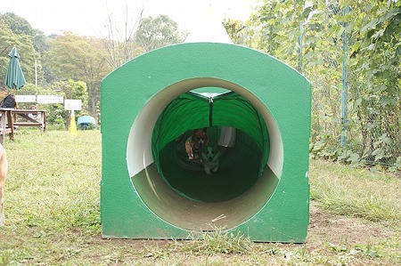 DSC03994