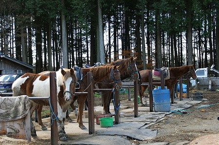 DSC05078