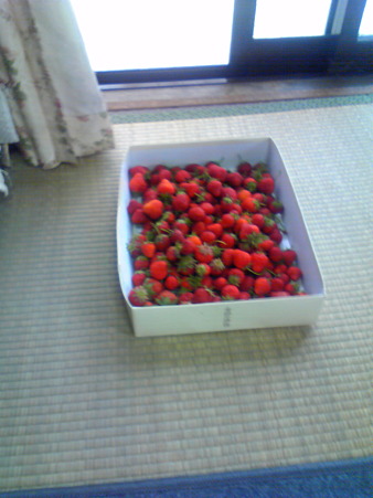 201006050647000