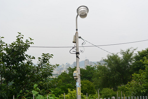 resize0031 写真: resize0031