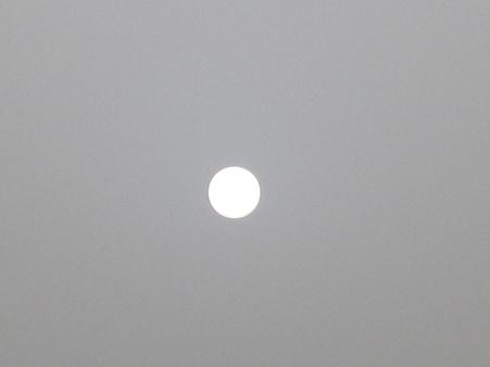 IMG_0483