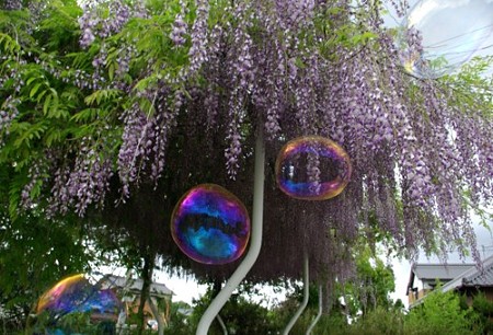 IMGP0328_0503