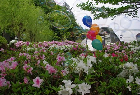 IMGP0876_0506