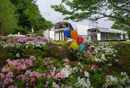 IMGP0922_0506