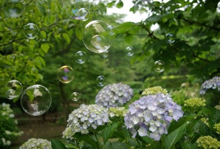 IMGP0364_0617
