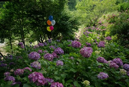 IMGP0057_0617