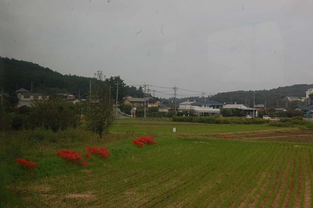 DSC_4473d4L