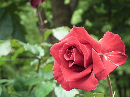 DSCF0052