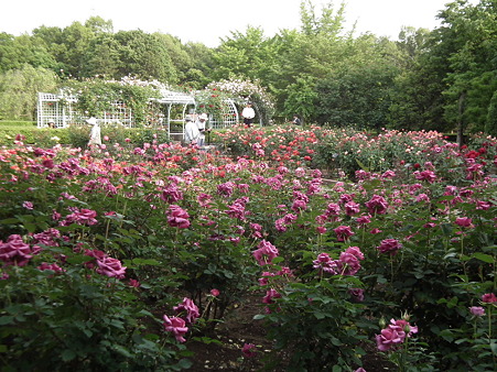DSCF0544