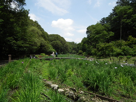 DSCF0080