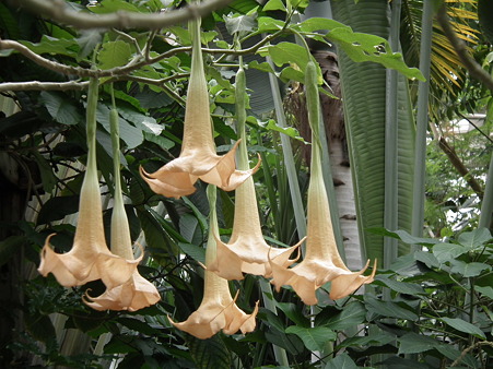 DSCF0324