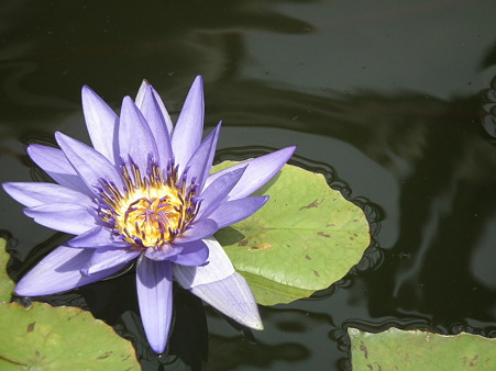 DSCF0339