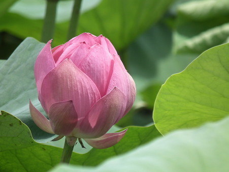 DSCF0049