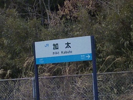 DVC00337