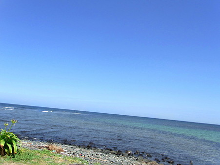 R0011328_1