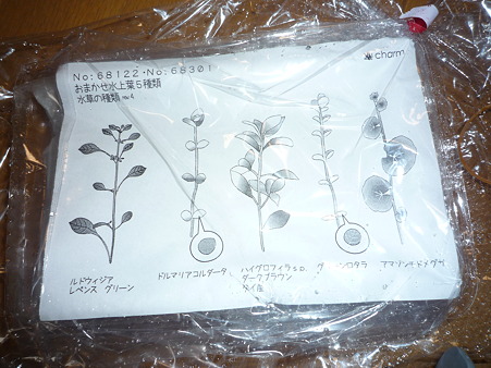 P1070850