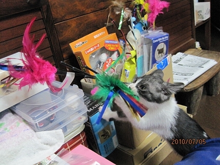 IMG_9288jl