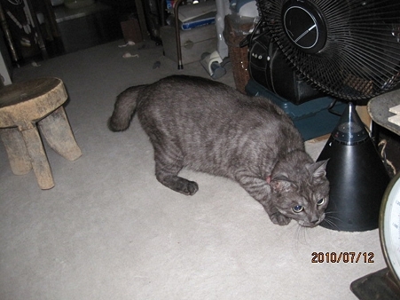 IMG_0478jl