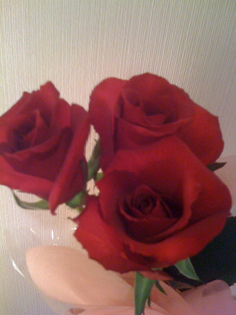 ひとりづついただいた薔薇