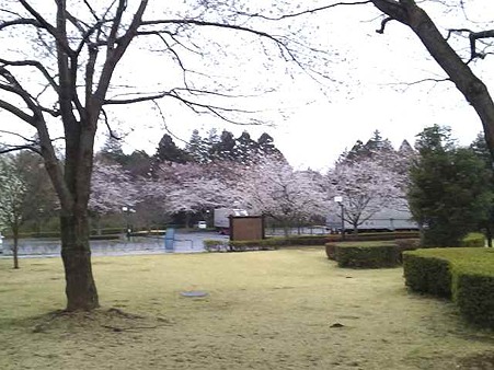 DVC00020