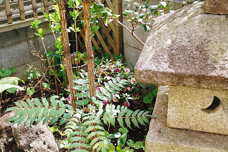 2010年03月21日_DSC_0467