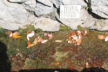 2010年04月04日_DSC_1254