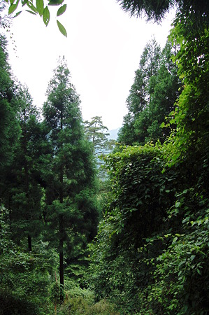 2010年08月14日_DSC_0090