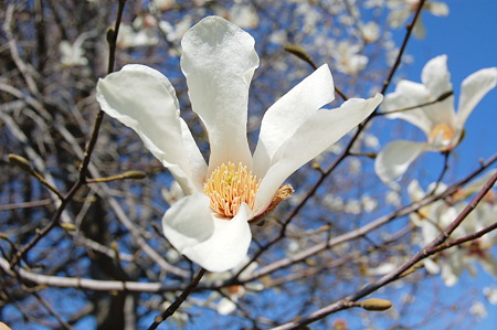 2011年04月04日_DSC_0749