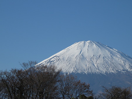 富士を望み