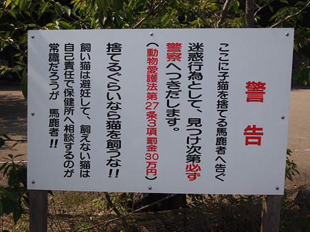 日出