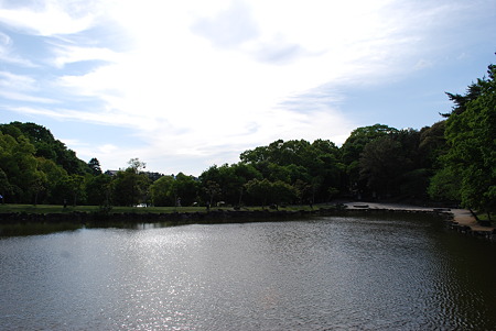DSC_0135 DSC_0135
