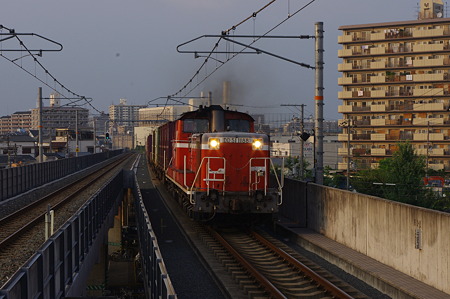 IMGP5475