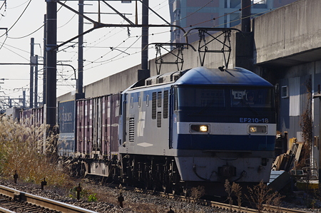 IMGP7872