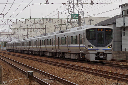 IMGP8446