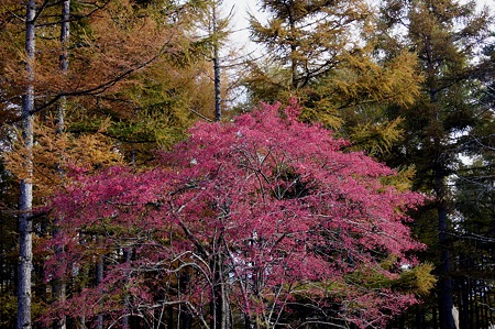 DSC00404