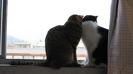 なかよし