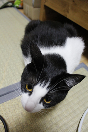 さんかく
