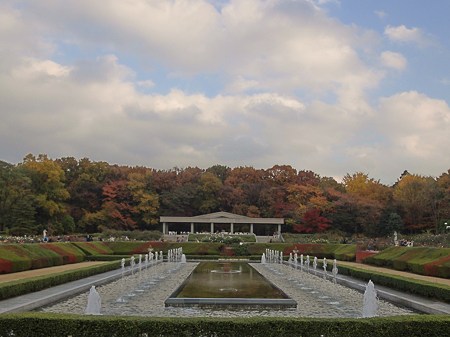 神代植物公園の秋