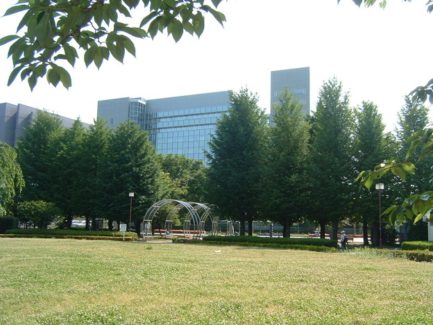 「すずかけ公園」の画像検索結果