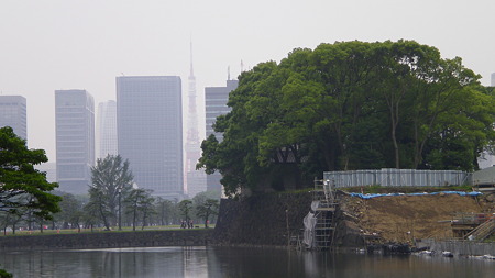 IMGP5116