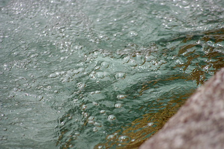 IMGP3890